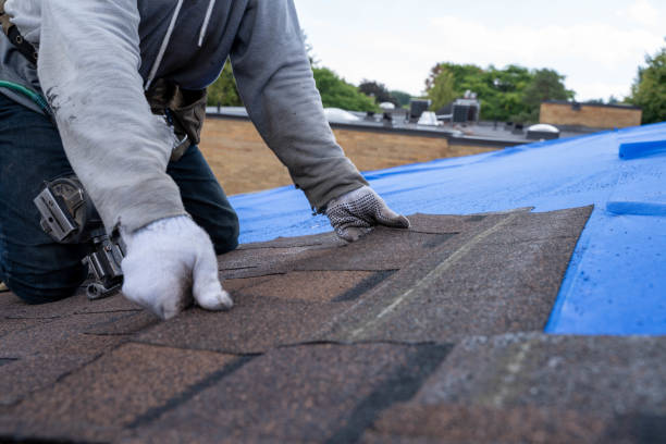 Best Roof Maintenance Services  in Verandah, FL