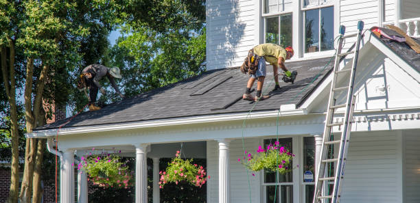 Best Roof Gutter Cleaning  in Verandah, FL